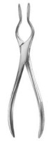 Septum Straightening Forceps