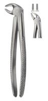 Tooth Forceps for Lower