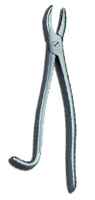 Wolftooth Extractor Forceps